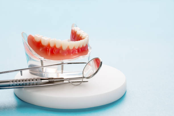 Professional Holistic Dental Care Services in Spotswood, NJ